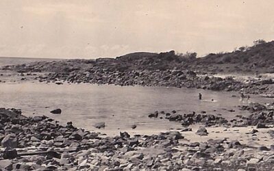 Pure Grit at Fingal Island